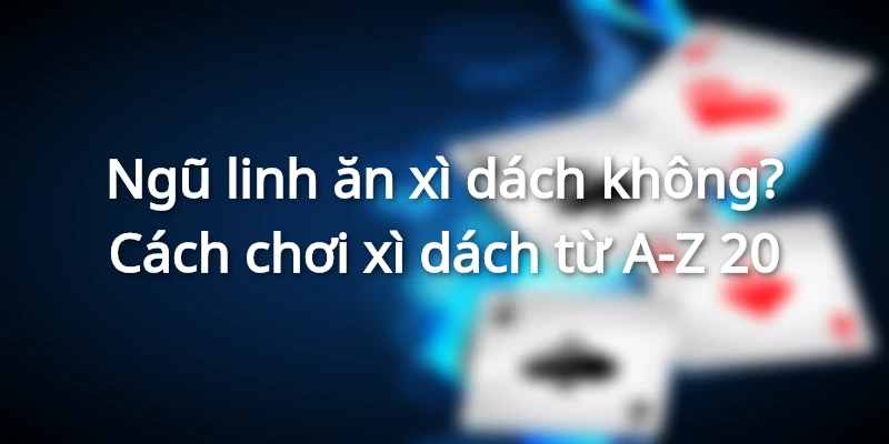 ngu-linh-an-duoc-xi-dach-khong-cach-choi-xi-dach-chi-tiet