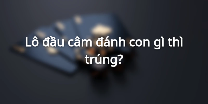 lo-dau-cam-danh-con-gi-thi-trung