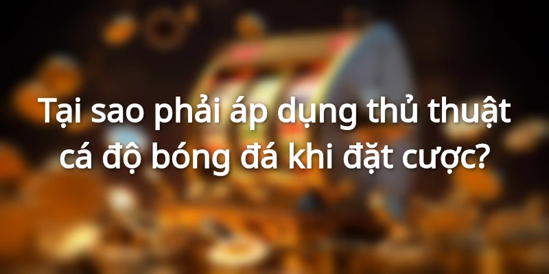 Lý do bạn nên sử dụng thủ thuật cá độ bóng đá