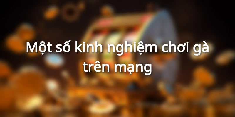Vảy khai hậu tốt hay xấu và những điều cần biết khi cá độ 3 choi-ga-tren-san-uy-tin